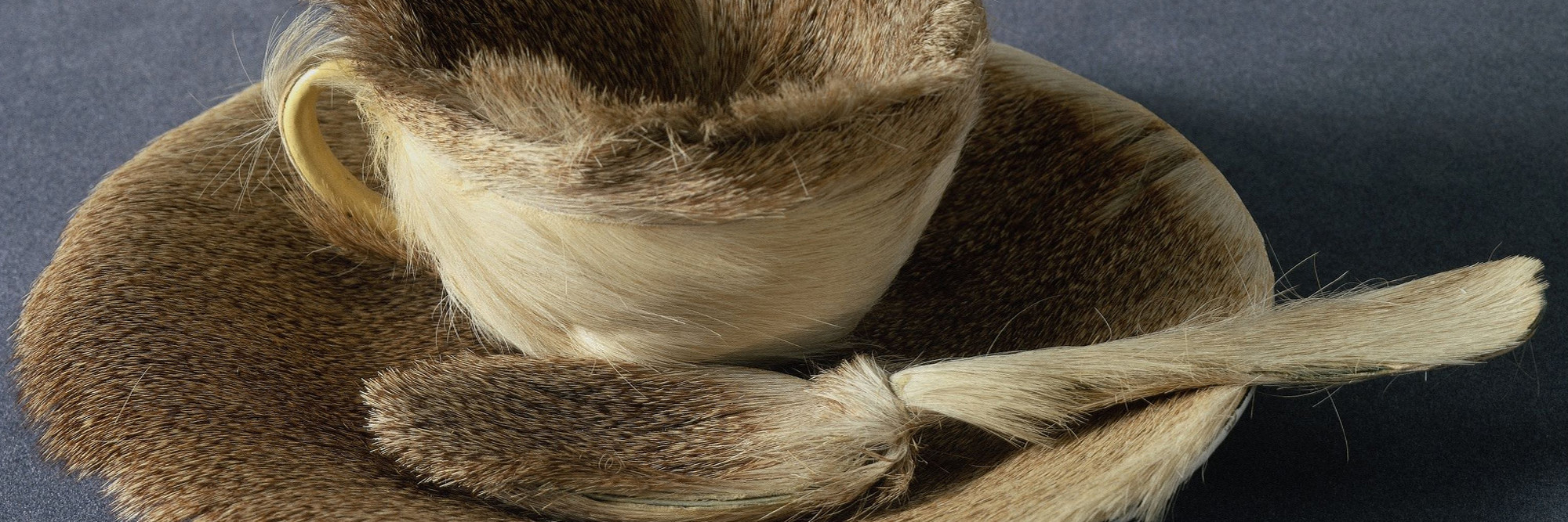 Meret Oppenheim. Object. 1936. Fur-covered cup, saucer, and spoon, cup 4 3/8″ (10.9 cm) in diameter; saucer 9 3/8″ (23.7 cm) in diameter; spoon 8″ (20.2 cm) long, overall height 2 7/8″ (7.3 cm). Purchase. © 2009 Artists Rights Society (ARS), New York/Pro Litteris, Zurich