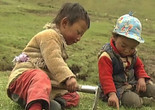 Yartsa Rinpoche. 2013. China/France. Directed by Dorje Tsering Chenaktsang. 101 min. Courtesy of Chenaktsang and Sundance Institute