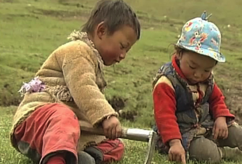 Yartsa Rinpoche. 2013. China/France. Directed by Dorje Tsering Chenaktsang. 101 min. Courtesy of Chenaktsang and Sundance Institute