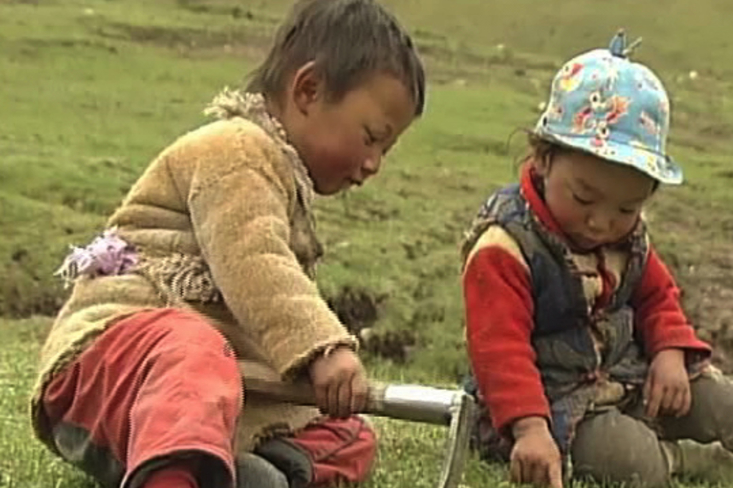 Yartsa Rinpoche. 2013. China/France. Directed by Dorje Tsering Chenaktsang. 101 min. Courtesy of Chenaktsang and Sundance Institute