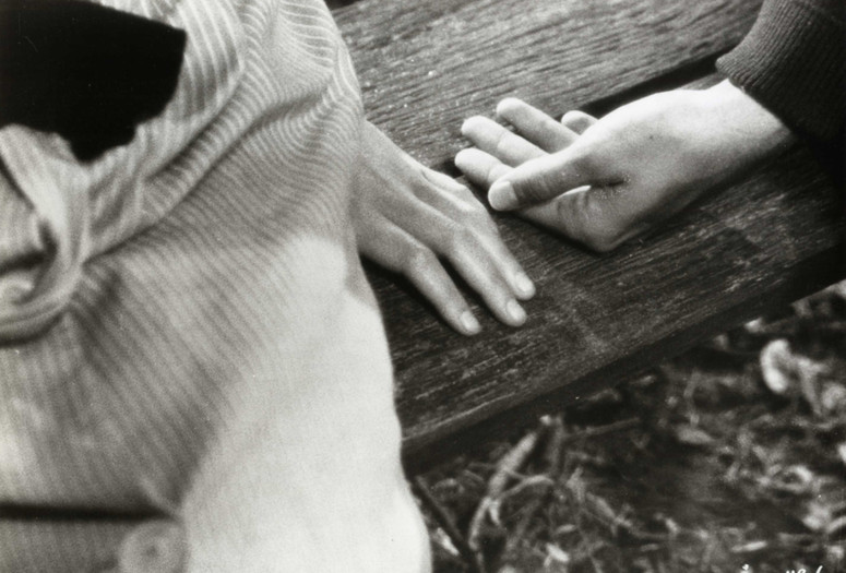 Au Hasard Balthazar (Balthazar). 1966. France/Sweden. Directed by Robert Bresson