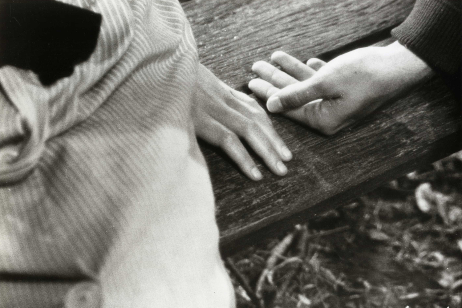 Au Hasard Balthazar (Balthazar). 1966. France/Sweden. Directed by Robert Bresson