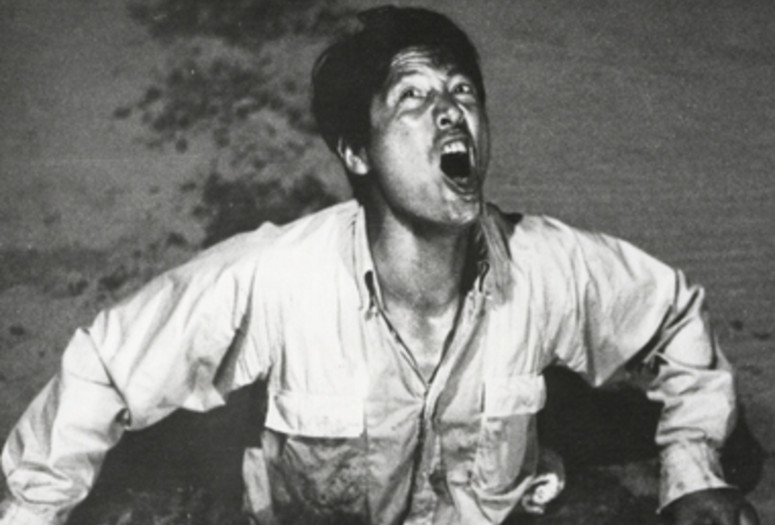 Suna No Onna (Woman in the Dunes). 1963. Japan. Directed by Hiroshi Teshigahara