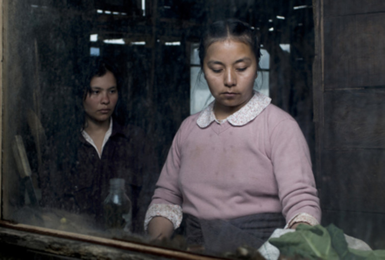 La Sirga (The Towrope). 2012. Columbia/Mexico. Directed by William Vega. Courtesy Film Movement