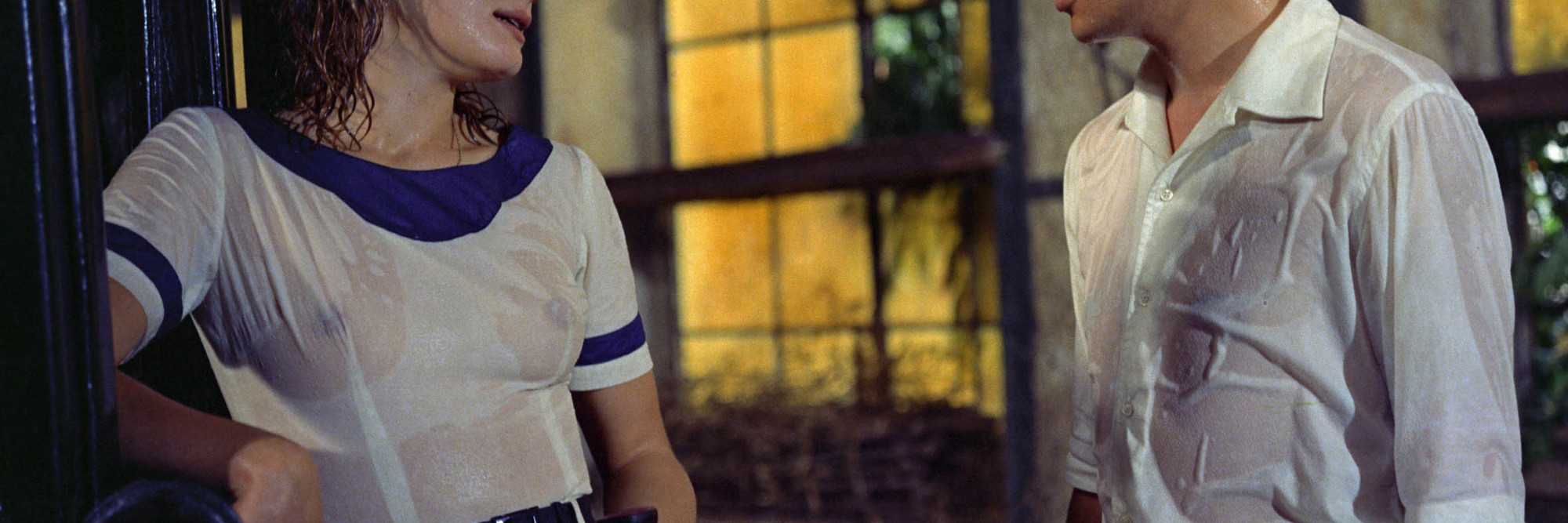 The Garden of the Finzi-Continis. 1970. Italy. Directed by Vittorio De Sica