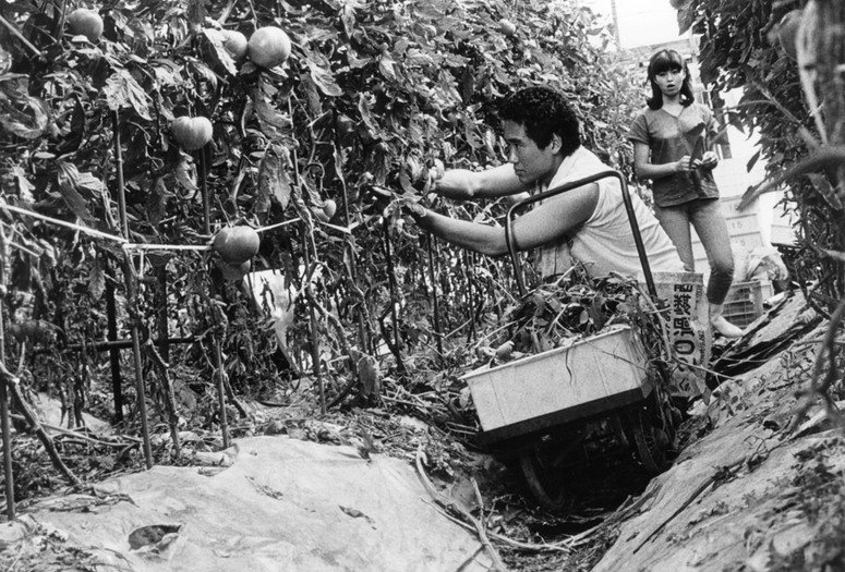 Enrai (Distant Thunder). 1981. Japan. Directed by Kichitaro Negishi
