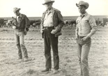 Hud. 1963. USA. Directed by Martin Ritt
