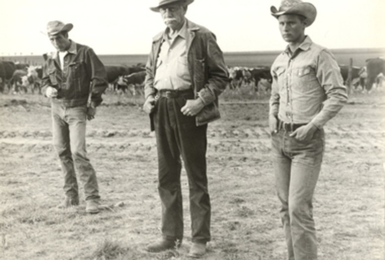 Hud. 1963. USA. Directed by Martin Ritt