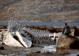 Leviathan. 2014. Russia. Directed by Andrey Zvyagintsev. Courtesy of Sony Pictures Classics