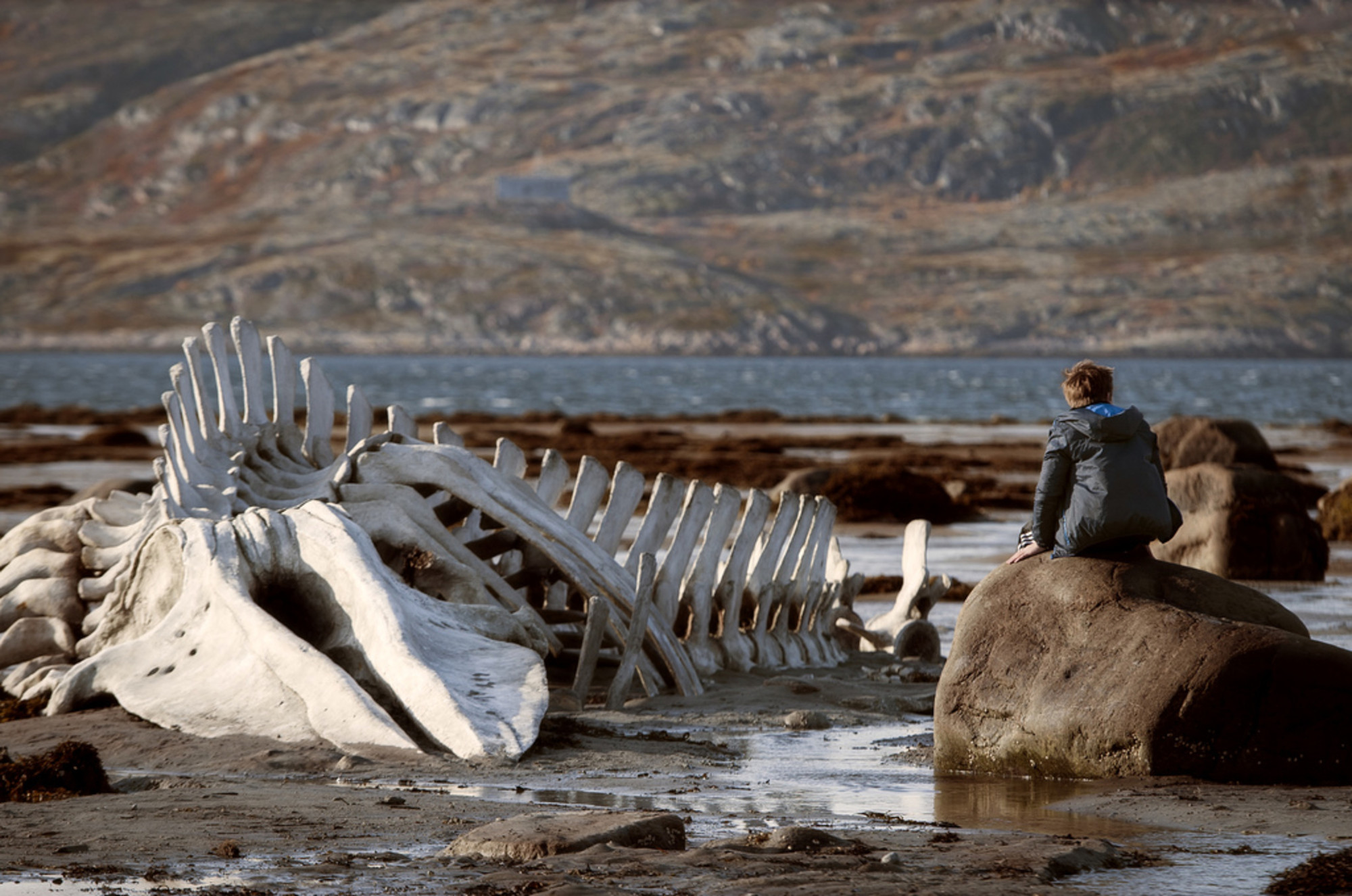Leviathan. 2014. Directed by Andrey Zvyagintsev | MoMA