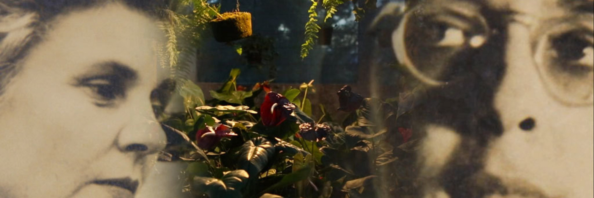 Welcome to This House, a Film on Elizabeth Bishop. 2015. USA. Directed by Barbara Hammer