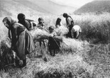 Buba. 1930. USSR. Directed by Noutsa Gogoberidze. Courtesy of the National Archives of Georgia
