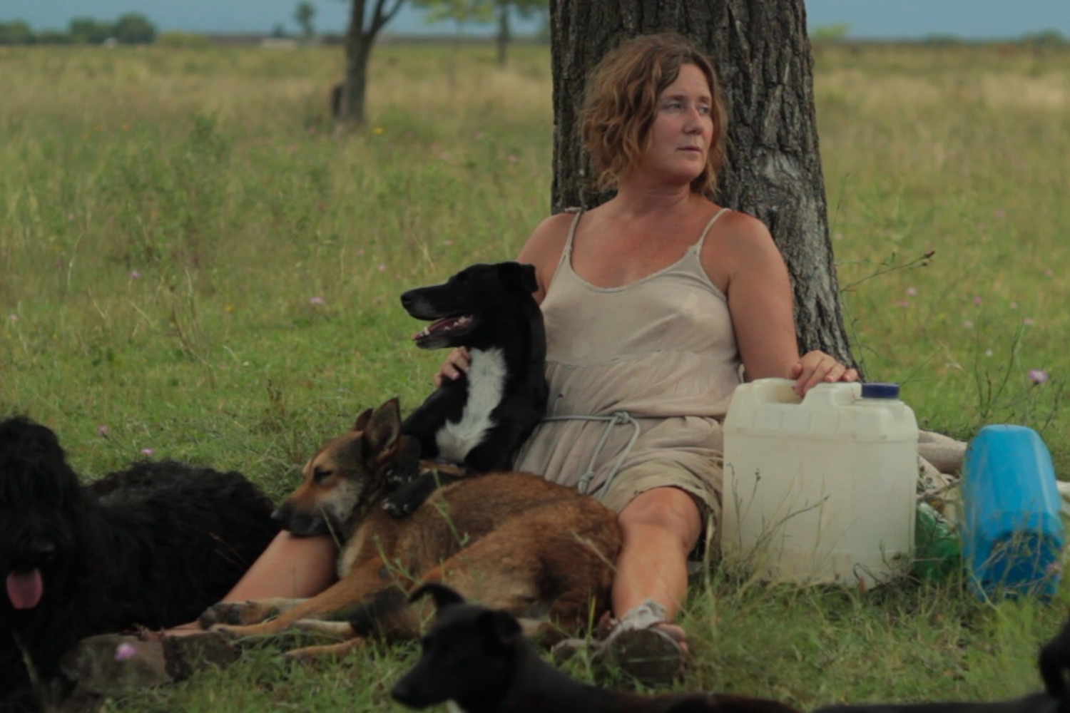 Dog Lady. 2015 . Directed by Laura Citarella and Verónica Llinás. Images courtesy of the filmmakers