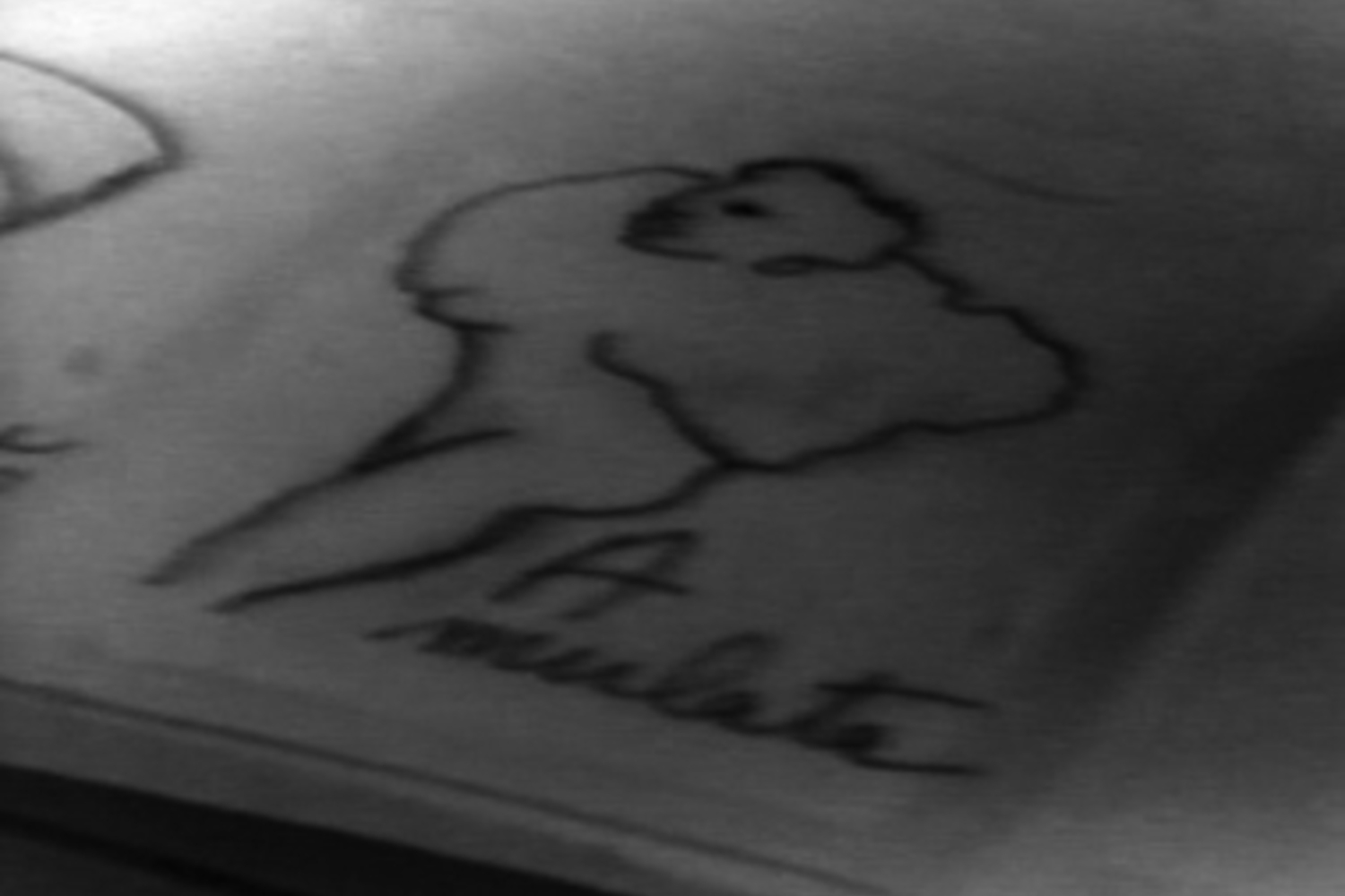 Elementary Maps III. 1976. Directed by Anna Bella Geiger. Courtesy of the artist.