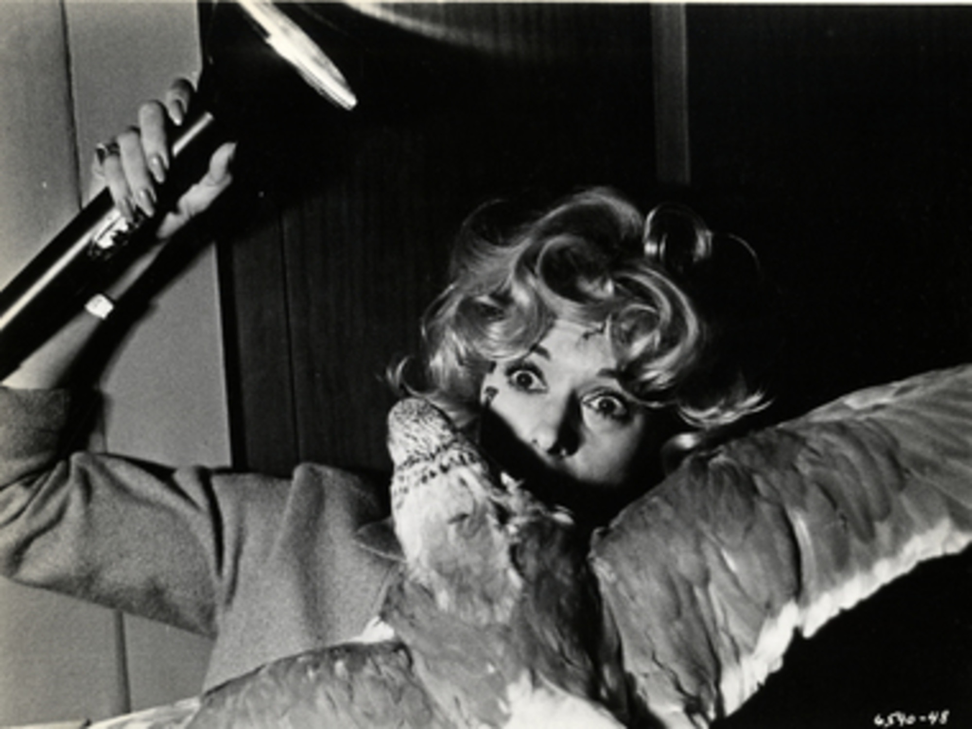 The birds 1963 directed by alfred hitchcock moma
