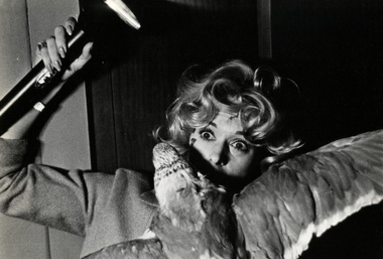 The Birds. 1963. USA. Directed by Alfred Hitchcock