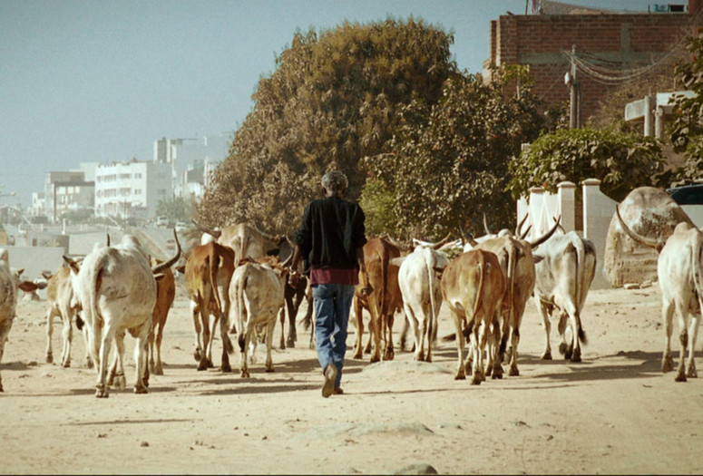 A Thousand Suns. 2013. France. Directed by Mati Diop