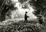How Green Was My Valley. 1941. USA. Directed by John Ford