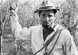 Vidas Secas (Barren Lives). 1963. Brazil. Directed by Nelson Pereira dos Santos. Image courtesy of Photofest
