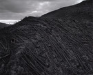 Frank Gohlke. Aerial View, Downed Forest Near Elk Rock, Approximately Ten Miles Northwest of Mount St. Helens, Washington. 1981. Gelatin silver print, 17 7/8 × 21 7/8″ (45.7 × 55.8 cm). The Museum of Modern Art, New York. Acquired through the generosity of Shirley C. Burden. © 2005 Frank Gohlke