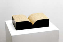Richard Artschwager. Book. 1987. Multiple of formica and wood. object: 5 1/8 × 20 1/8 × 12 1/16″ (13 × 51.1 × 30.7 cm). The Museum of Modern Art, New York. Virginia Cowles Schroth Fund. © 2008 Richard Artschwager / Artists Rights Society (ARS), New York.