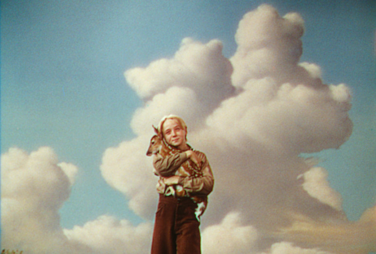 The Yearling. 1946. USA. Directed by Clarence Brown. Image courtesy Deutsche Kinemathek