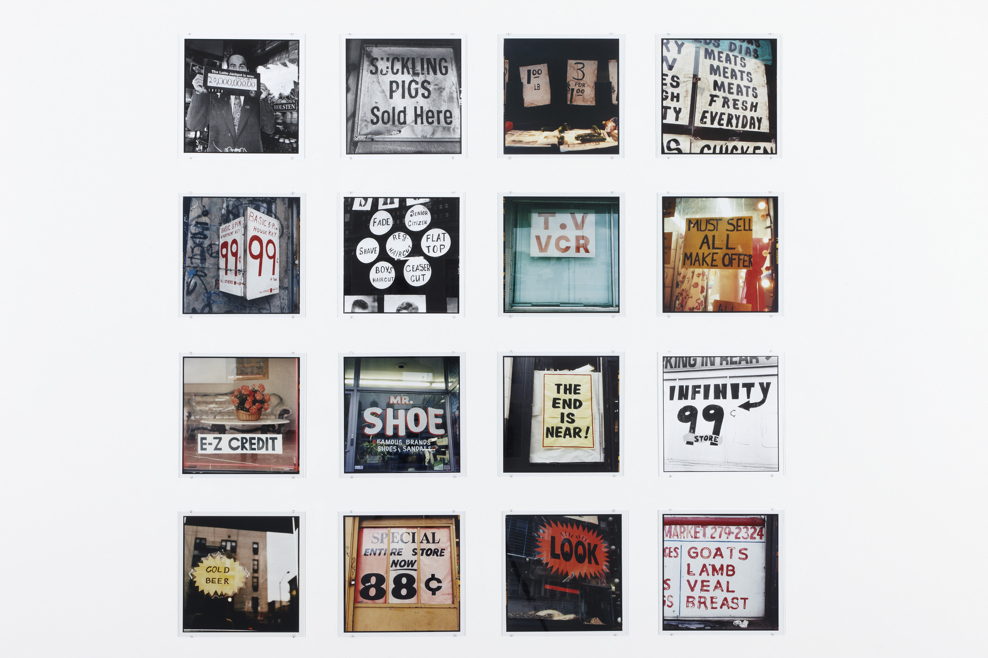 Zoe Leonard: Analogue | MoMA