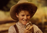 The Adventures of Tom Sawyer. 1938. USA. Directed by Norman Taurog. Image courtesy Deutsche Kinemathek