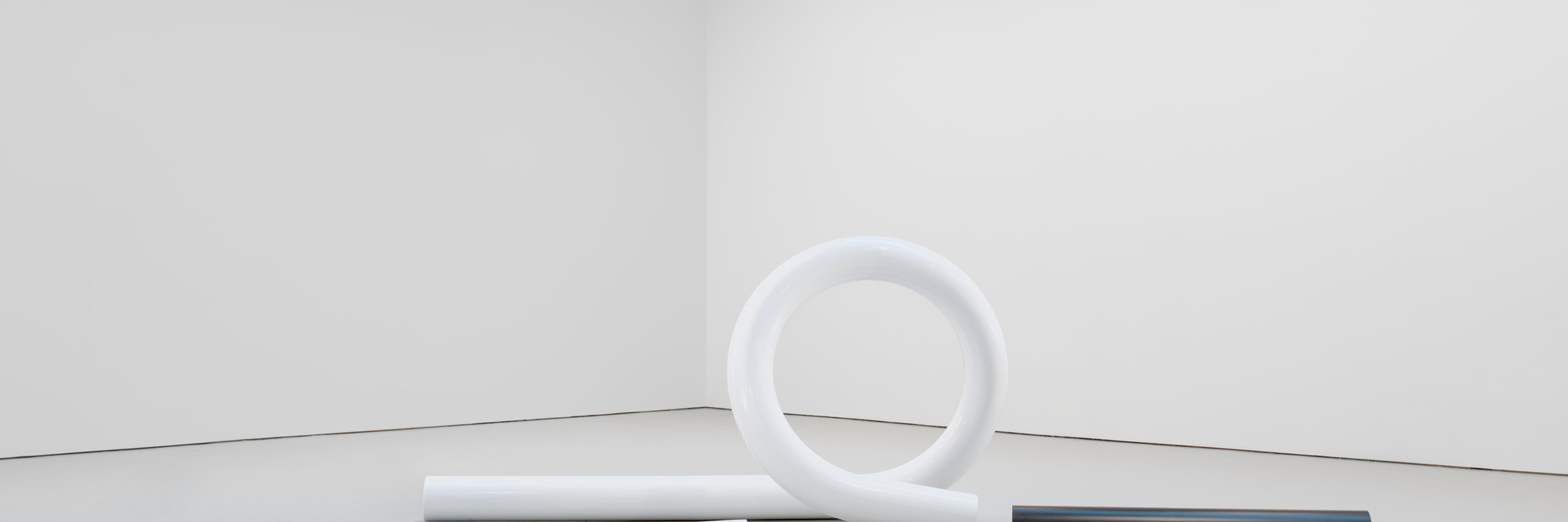 Carol Bove. The White Tubular Glyph. 2012. Powder coated bent steel, dimensions variable. Photos by EPW Studio/Maris Hutchinson. Courtesy of the artist, Maccarone New York, and David Zwirner New York/London