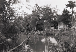 An-My Lê (American, b. Vietnam 1960). Untitled, Mekong Delta. 1994. Gelatin silver print, 15 7/8 × 22 9/16ʺ (40.4 × 57.4 cm). Gift of Pierre N. Leval. © 2016 An-My Lê