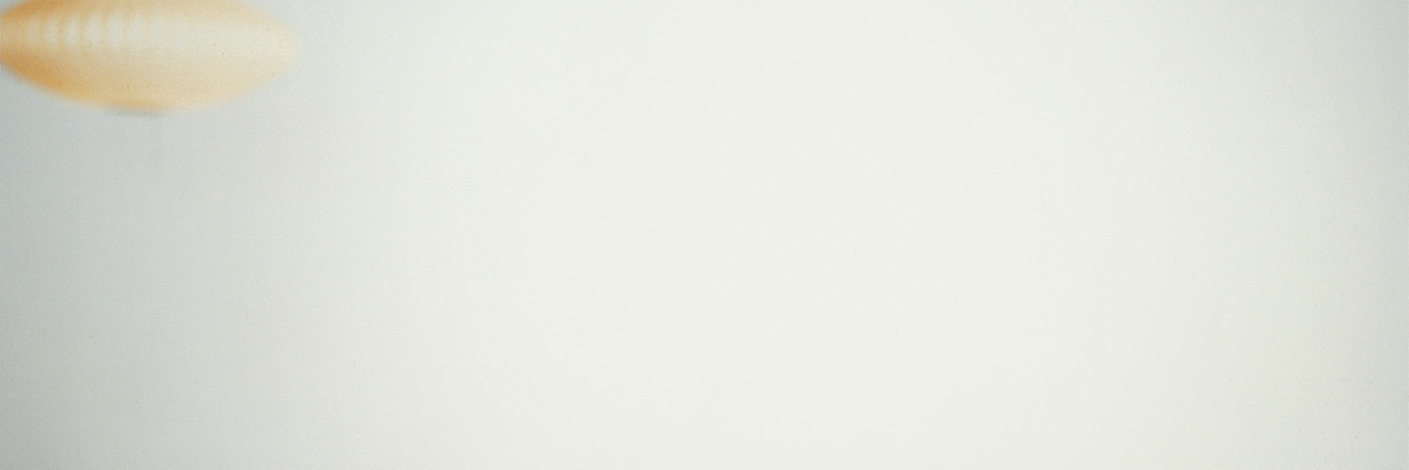 Uta Barth (American, b. 1958). Ground # 44. 1994. Ektacolor print on panel, 39 1/4 × 48ʺ (99.7 × 121.9 cm). © Uta Barth. Courtesy of the artist and Tanya Bonakdar Gallery, New York