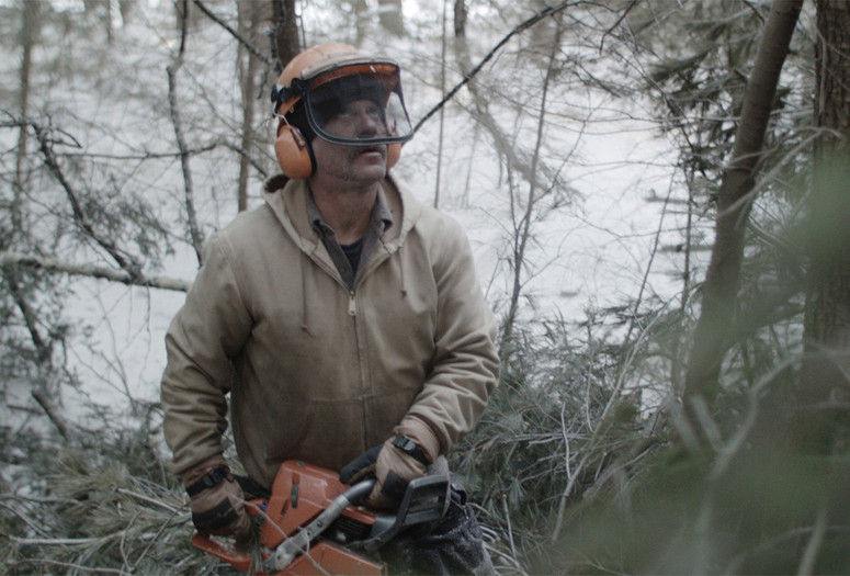 Bob and the Trees. 2015. USA/France. Directed by Diego Ongaro. Courtesy the filmmaker