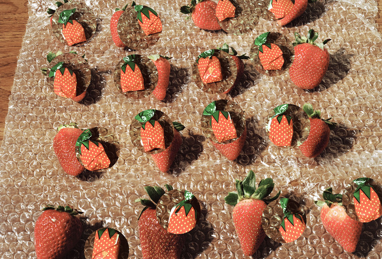 Lucas Blalock. Strawberries (fresh forever). 2014. Pigmented inkjet print, 15 3/4 x 19 3/4” (40 x 50.2 cm). Courtesy the artist and Ramiken Crucible, New York. © 2015 Lucas Blalock