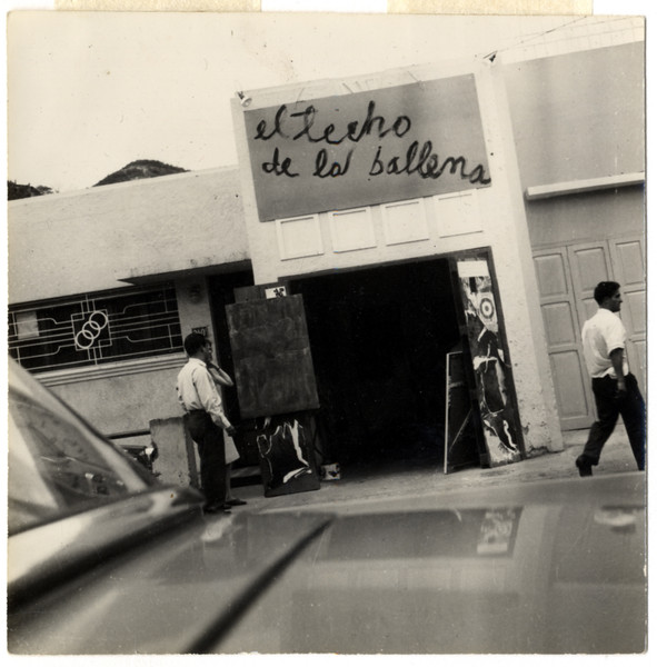 El Techo de la Ballena