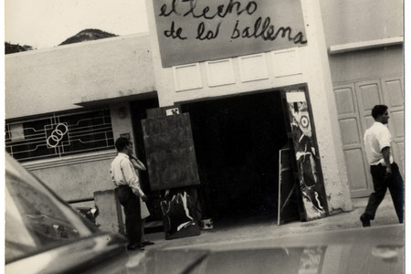 El Techo de la Ballena