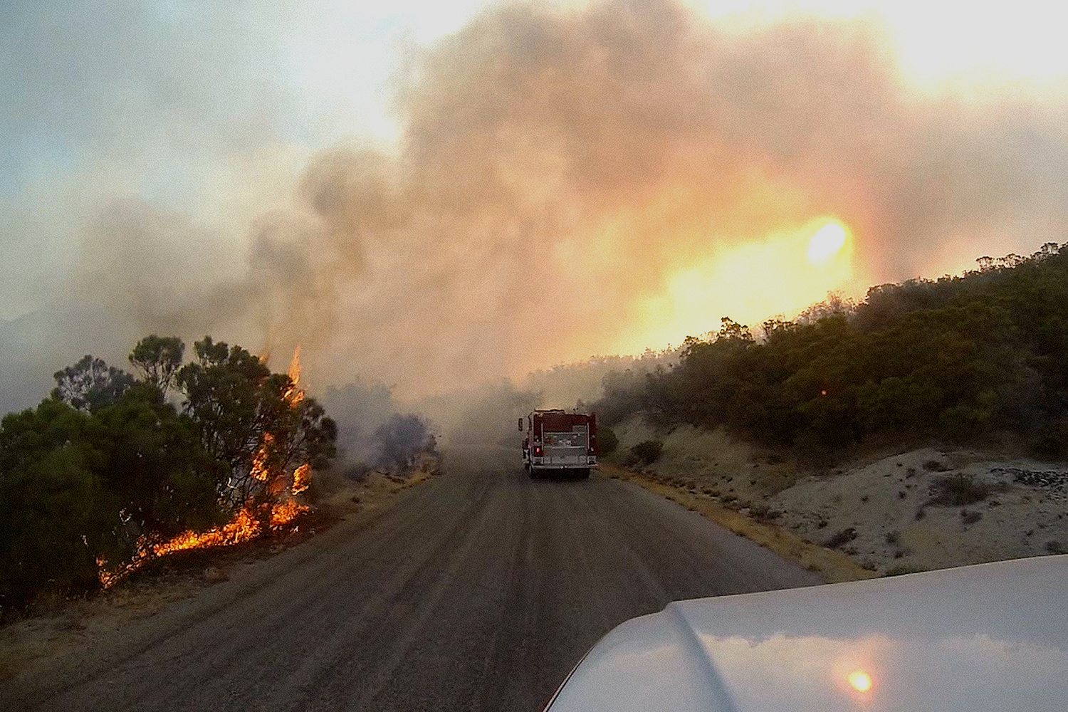 Mountain Fire Personnel. 2015. USA. Directed by Alex Tyson. Courtesy of the filmmaker