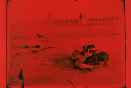 Runa Islam. Emergence. 2011. 35mm film (color, silent), 2:54 min. Commissioned by The Museum of Modern Art, New York, for The Elaine Dannheisser Projects Series. Courtesy the artist and White Cube, London