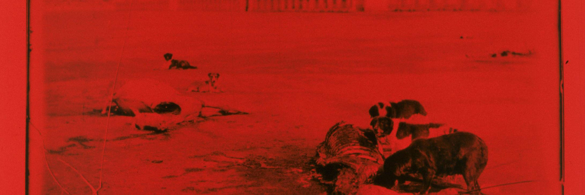 Runa Islam. Emergence. 2011. 35mm film (color, silent), 2:54 min. Commissioned by The Museum of Modern Art, New York, for The Elaine Dannheisser Projects Series. Courtesy the artist and White Cube, London