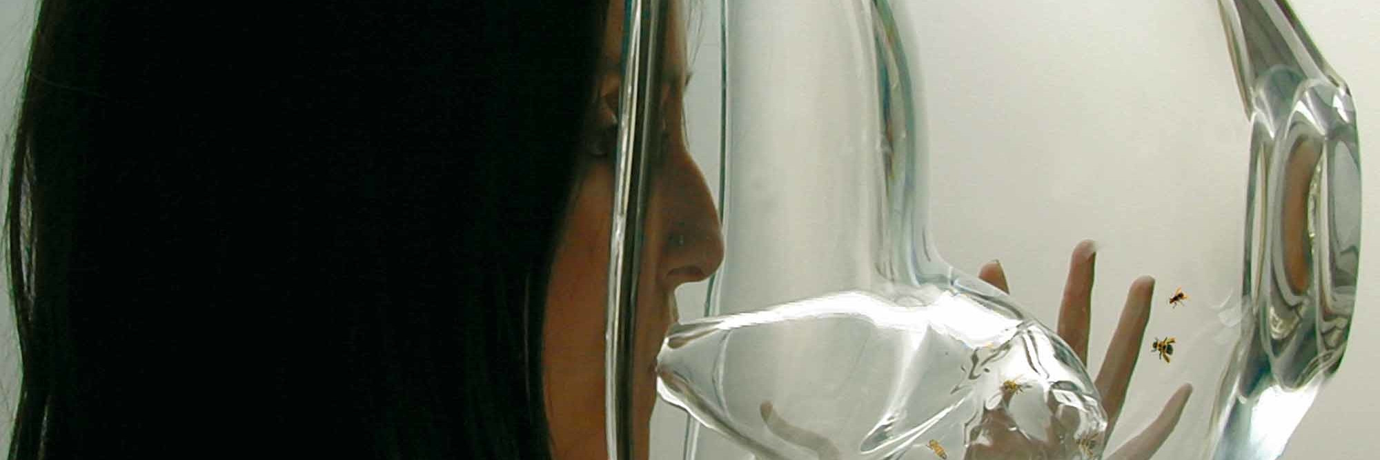 Susana Soares Design Interactions Department, Royal College of Art BEE’S project. Prototype. 2007