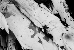 Paul Sietsema. Film still from Figure 3. 2008. 16mm film (black and white and color, silent), 16 min. The Museum of Modern Art. Fund for the Twenty-First Century. © 2009 Paul Sietsema