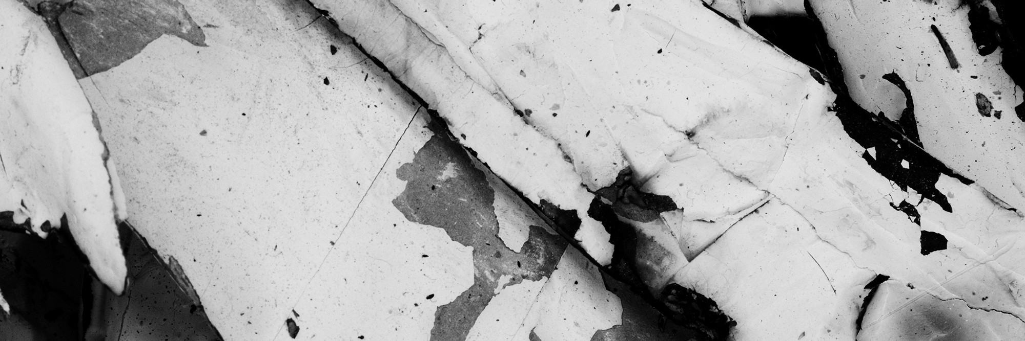 Paul Sietsema. Film still from Figure 3. 2008. 16mm film (black and white and color, silent), 16 min. The Museum of Modern Art. Fund for the Twenty-First Century. © 2009 Paul Sietsema
