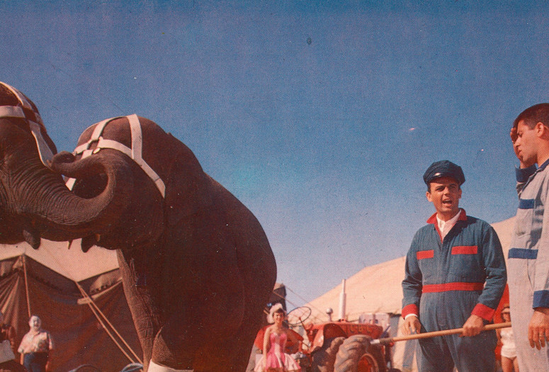 3 Ring Circus. 1955. USA. Directed by Joseph Pevney. Courtesy Paramount Pictures