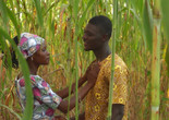 Nakom. 2016. Ghana/USA. Directed by T.W. Pittman &amp; Kelly Daniela Norris. Courtesy of Rasquaché Films