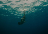 Evolution. 2015. France. Directed by Lucile Hadžihalilović. Courtesy of Alchemy