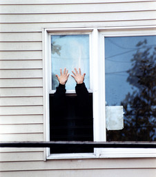 Rachel Harrison. Untitled from Perth Amboy. 2001. Chromogenic print, 19¾ × 15½″ (50.2 × 39.4 cm). Committee on Painting and Sculpture Funds. Courtesy the Artist and Greene Naftali, New York. © 2016 Rachel Harrison