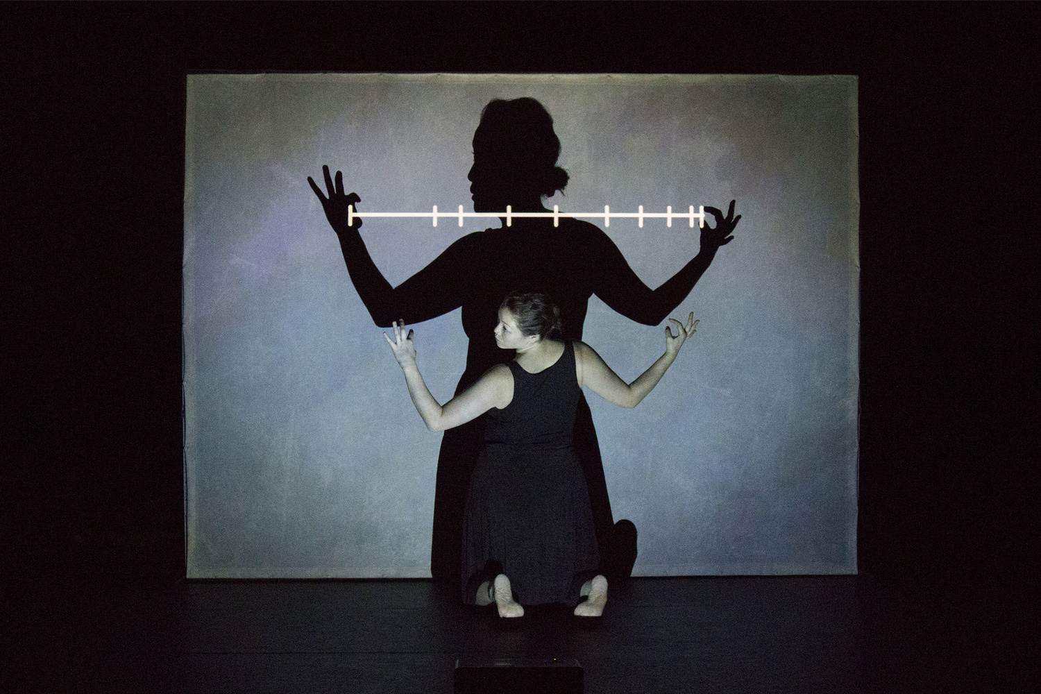 Miwa Matreyek performing This World Made Itself. Photo: Eugene Ahn