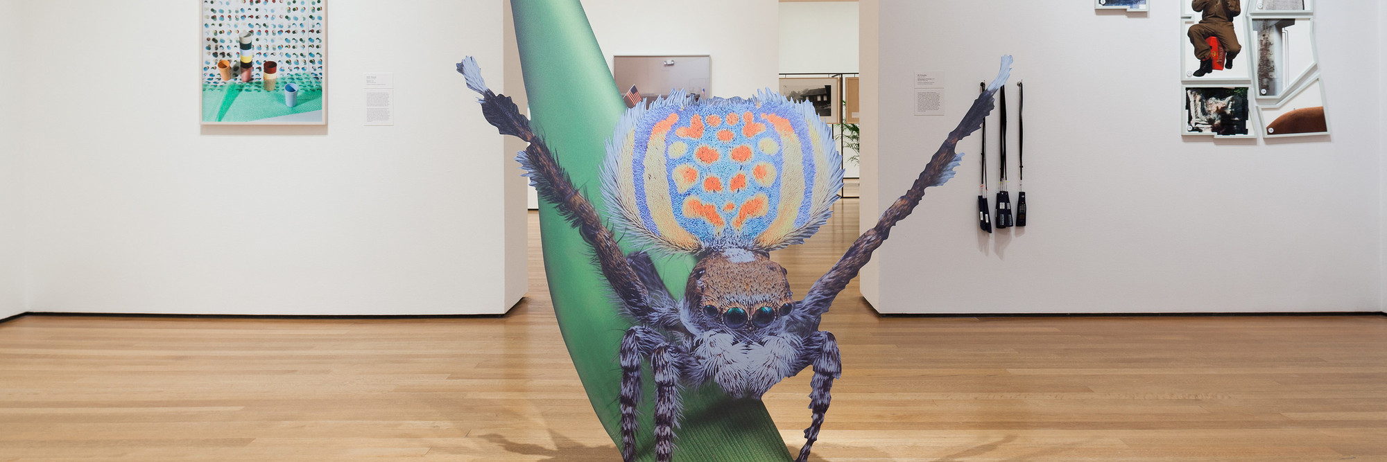 Installation view of Ocean of Images: New Photography 2015. The Museum of Modern Art, New York, November 7, 2015–March 20, 2016. © 2016 The Museum of Modern Art. Photo: Thomas Griesel