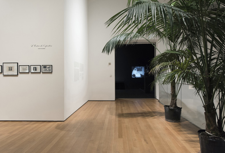 Installation view of Marcel Broodthaers: A Retrospective. The Museum of Modern Art, New York, February 14–May 15, 2016. © 2016 The Museum of Modern Art. Photo: Martin Seck
