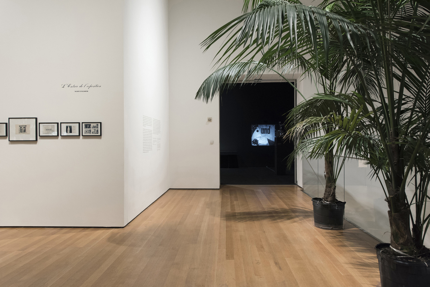 Installation view of Marcel Broodthaers: A Retrospective. The Museum of Modern Art, New York, February 14–May 15, 2016. © 2016 The Museum of Modern Art. Photo: Martin Seck
