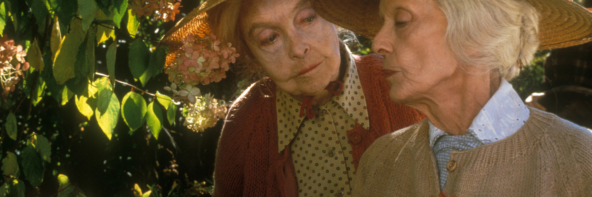 The Whales of August. 1987. USA. Directed by Lindsay Anderson. Courtesy of Alive Films/Photofest